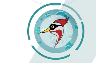 啄醫(yī)生客戶(hù)端“小啄”下載與使用說(shuō)明