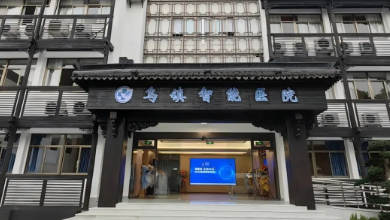 醫(yī)療AI科技如何助力公立醫(yī)院改革與高質(zhì)量發(fā)展？